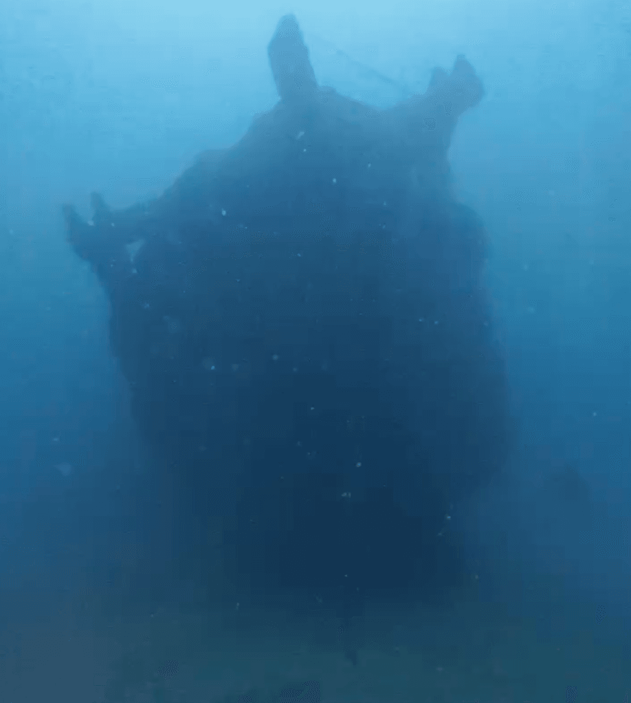 Vietnamese Wreck chanto