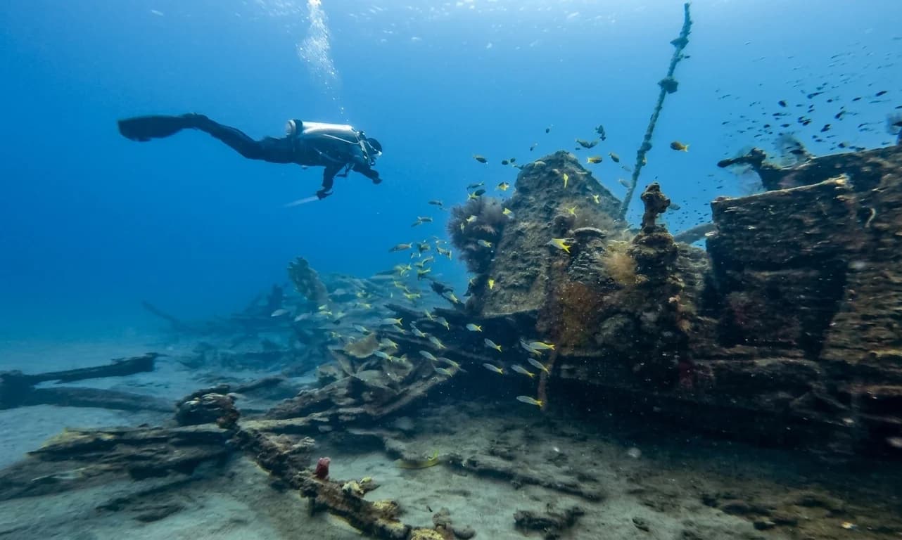 Project Marine Park: Mapping Tyre City