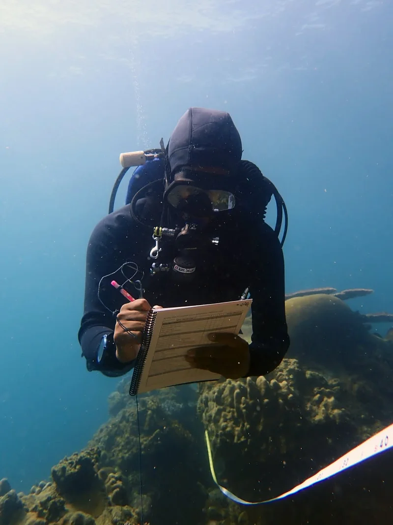 Alvin Chelliah — President of Reef Check Malaysia